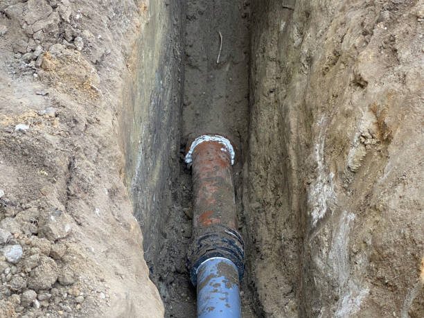 Best Basement water damage restoration  in Westwood, KY
