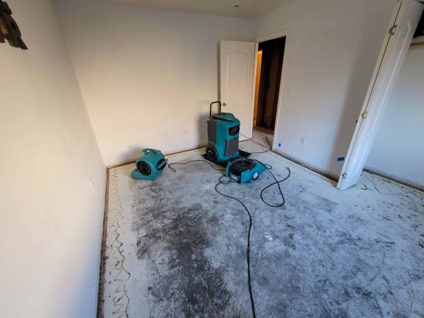 Best Water damage restoration specialists  in Westwood, KY