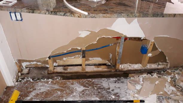 Best Carpet water damage restoration  in Westwood, KY