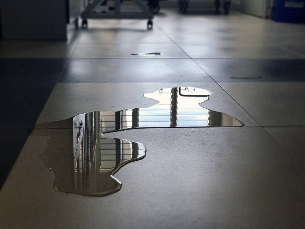 Best 24-hour water damage restoration  in Westwood, KY