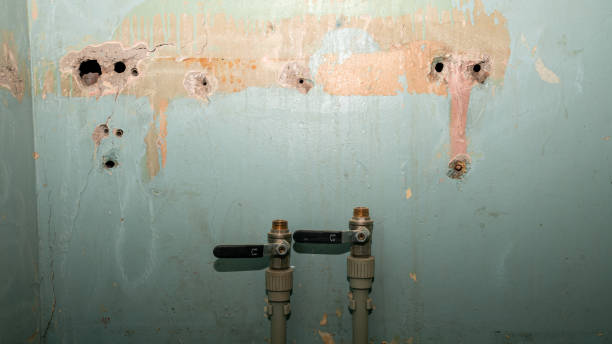 Trusted KY Water damage restoration Experts
