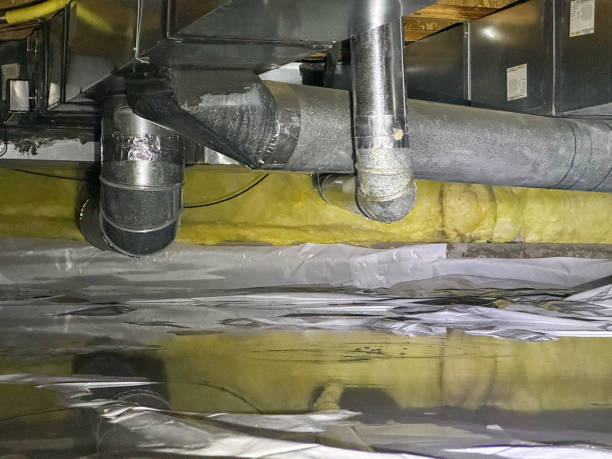 Best Ceiling water damage repair  in Westwood, KY
