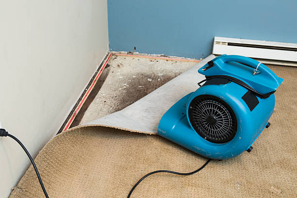  Westwood, KY Water damage restoration Pros